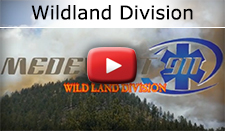 wildland division